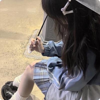 没人瞭波斯猫 海报